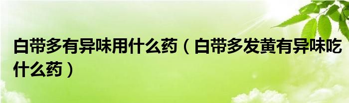 白帶多有異味用什么藥（白帶多發(fā)黃有異味吃什么藥）