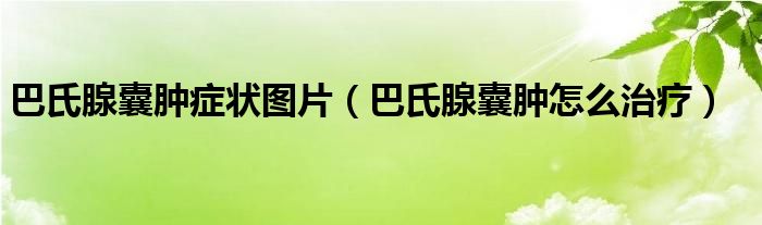 巴氏腺囊腫癥狀圖片（巴氏腺囊腫怎么治療）