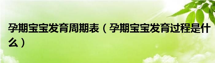 孕期寶寶發(fā)育周期表（孕期寶寶發(fā)育過程是什么）