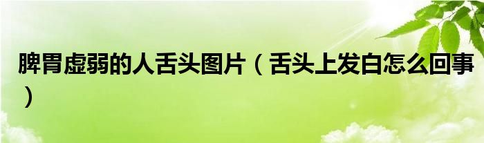 脾胃虛弱的人舌頭圖片（舌頭上發(fā)白怎么回事）