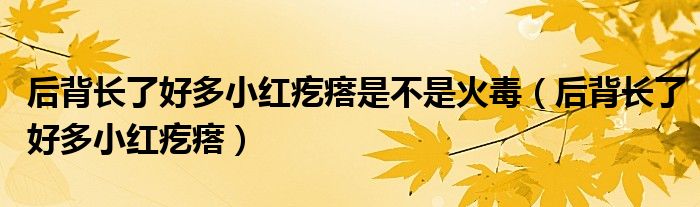 后背長(zhǎng)了好多小紅疙瘩是不是火毒（后背長(zhǎng)了好多小紅疙瘩）