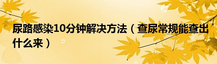 尿路感染10分鐘解決方法（查尿常規(guī)能查出什么來(lái)）