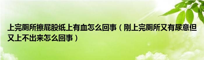 上完廁所擦屁股紙上有血怎么回事（剛上完廁所又有尿意但又上不出來(lái)怎么回事）