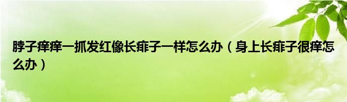 脖子癢癢一抓發(fā)紅像長痱子一樣怎么辦（身上長痱子很癢怎么辦）