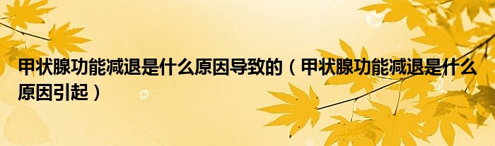 甲狀腺功能減退是什么原因導致的（甲狀腺功能減退是什么原因引起）