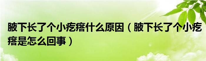 腋下長了個小疙瘩什么原因（腋下長了個小疙瘩是怎么回事）