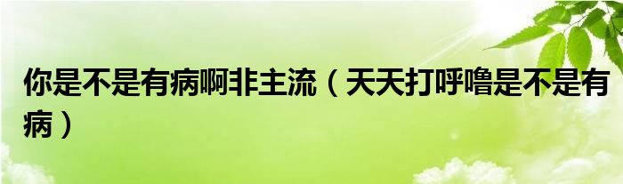 你是不是有病啊非主流（天天打呼嚕是不是有病）