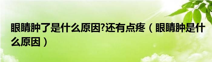 眼睛腫了是什么原因?還有點(diǎn)疼（眼睛腫是什么原因）