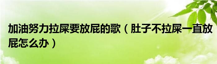 加油努力拉屎要放屁的歌（肚子不拉屎一直放屁怎么辦）