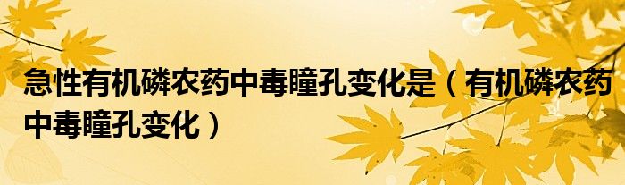 急性有機(jī)磷農(nóng)藥中毒瞳孔變化是（有機(jī)磷農(nóng)藥中毒瞳孔變化）