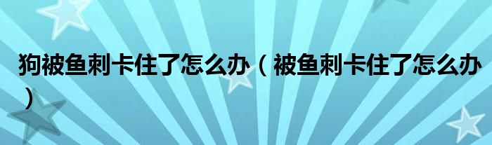 狗被魚刺卡住了怎么辦（被魚刺卡住了怎么辦）