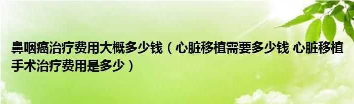 鼻咽癌治療費(fèi)用大概多少錢(qián)（心臟移植需要多少錢(qián) 心臟移植手術(shù)治療費(fèi)用是多少）