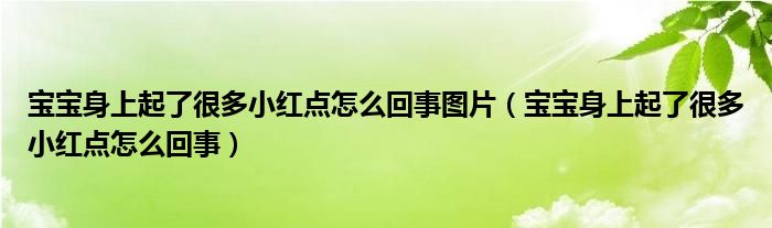 寶寶身上起了很多小紅點(diǎn)怎么回事圖片（寶寶身上起了很多小紅點(diǎn)怎么回事）