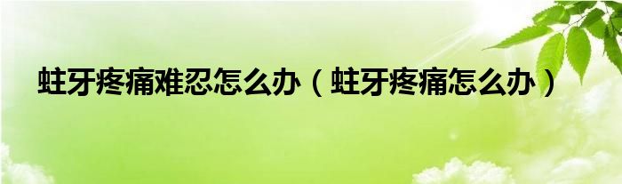 蛀牙疼痛難忍怎么辦（蛀牙疼痛怎么辦）