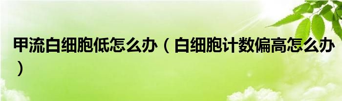 甲流白細(xì)胞低怎么辦（白細(xì)胞計(jì)數(shù)偏高怎么辦）