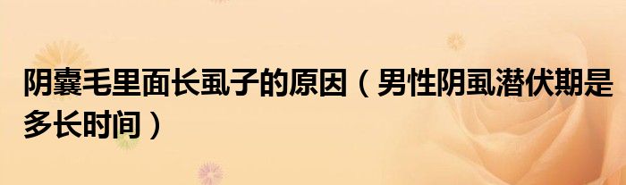 陰囊毛里面長(zhǎng)虱子的原因（男性陰虱潛伏期是多長(zhǎng)時(shí)間）