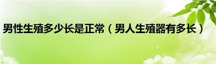 男性生殖多少長(zhǎng)是正常（男人生殖器有多長(zhǎng)）