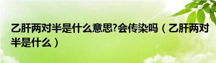 乙肝兩對(duì)半是什么意思?會(huì)傳染嗎（乙肝兩對(duì)半是什么）