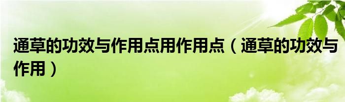 通草的功效與作用點用作用點（通草的功效與作用）