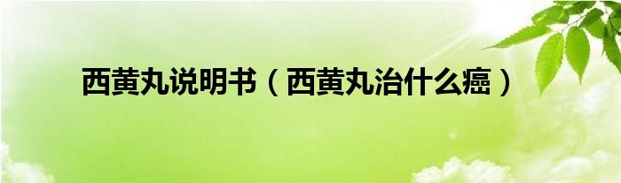 西黃丸說(shuō)明書（西黃丸治什么癌）