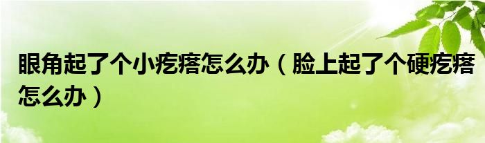 眼角起了個(gè)小疙瘩怎么辦（臉上起了個(gè)硬疙瘩怎么辦）