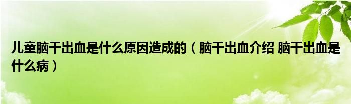 兒童腦干出血是什么原因造成的（腦干出血介紹 腦干出血是什么?。? /></span>
		<span id=