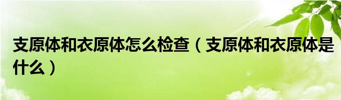 支原體和衣原體怎么檢查（支原體和衣原體是什么）