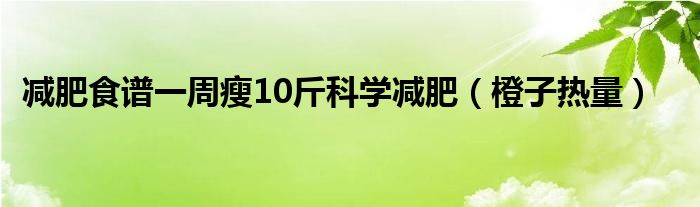 減肥食譜一周瘦10斤科學減肥（橙子熱量）