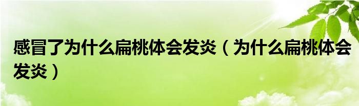 感冒了為什么扁桃體會(huì)發(fā)炎（為什么扁桃體會(huì)發(fā)炎）