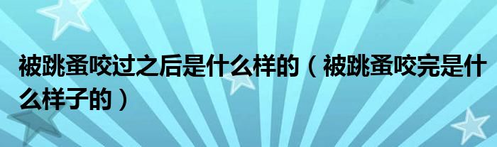 被跳蚤咬過之后是什么樣的（被跳蚤咬完是什么樣子的）