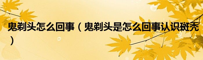 鬼剃頭怎么回事（鬼剃頭是怎么回事認(rèn)識斑禿）