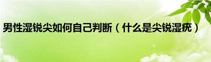 男性濕銳尖如何自己判斷（什么是尖銳濕疣）