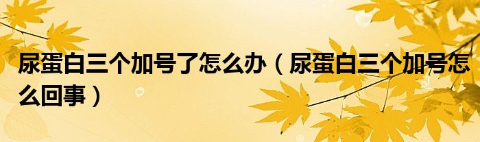 尿蛋白三個(gè)加號(hào)了怎么辦（尿蛋白三個(gè)加號(hào)怎么回事）