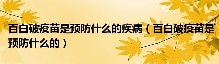 百白破疫苗是預(yù)防什么的疾?。ò侔灼埔呙缡穷A(yù)防什么的）