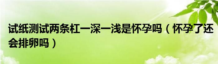 試紙測(cè)試兩條杠一深一淺是懷孕嗎（懷孕了還會(huì)排卵嗎）