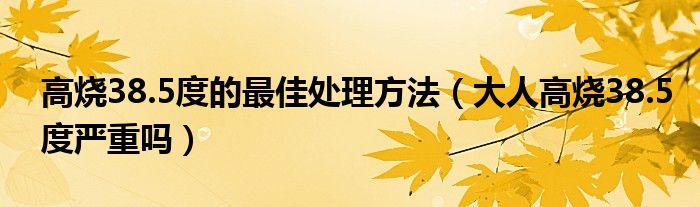 高燒38.5度的最佳處理方法（大人高燒38.5度嚴(yán)重嗎）