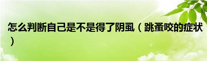 怎么判斷自己是不是得了陰虱（跳蚤咬的癥狀）