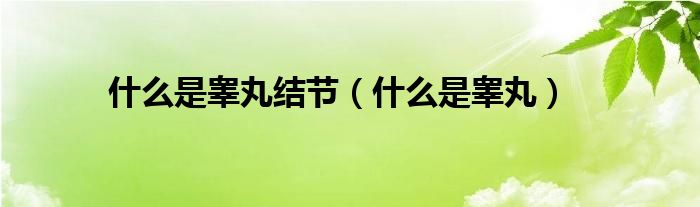 什么是睪丸結(jié)節(jié)（什么是睪丸）