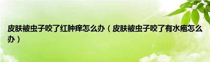 皮膚被蟲(chóng)子咬了紅腫癢怎么辦（皮膚被蟲(chóng)子咬了有水皰怎么辦）