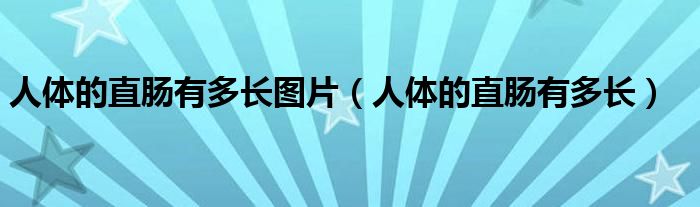 人體的直腸有多長(zhǎng)圖片（人體的直腸有多長(zhǎng)）