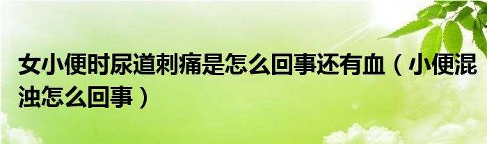 女小便時(shí)尿道刺痛是怎么回事還有血（小便混濁怎么回事）