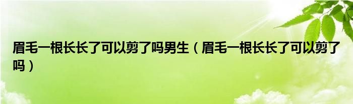 眉毛一根長(zhǎng)長(zhǎng)了可以剪了嗎男生（眉毛一根長(zhǎng)長(zhǎng)了可以剪了嗎）