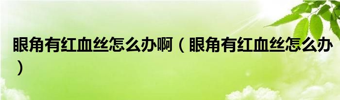 眼角有紅血絲怎么辦?。ㄑ劢怯屑t血絲怎么辦）