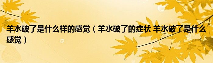 羊水破了是什么樣的感覺(jué)（羊水破了的癥狀 羊水破了是什么感覺(jué)）