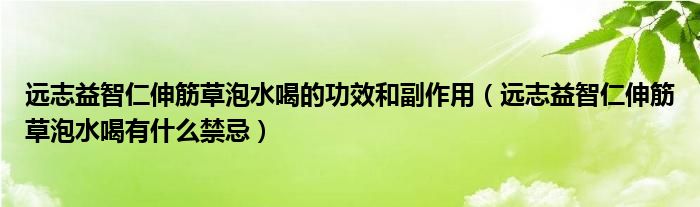 遠志益智仁伸筋草泡水喝的功效和副作用（遠志益智仁伸筋草泡水喝有什么禁忌）