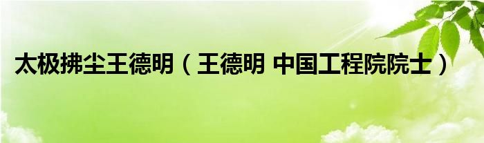 太極拂塵王德明（王德明 中國工程院院士）