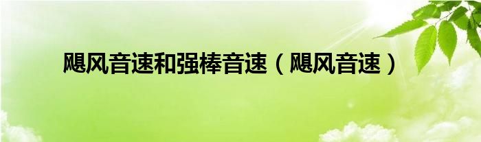 颶風(fēng)音速和強(qiáng)棒音速（颶風(fēng)音速）