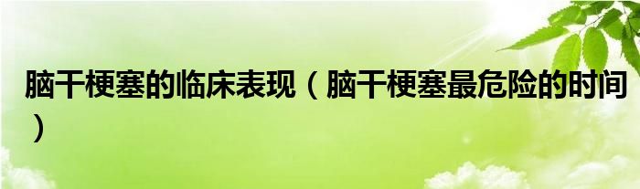 腦干梗塞的臨床表現(xiàn)（腦干梗塞最危險的時間）