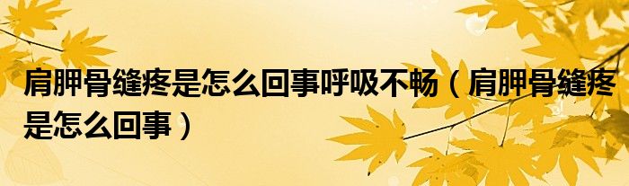 肩胛骨縫疼是怎么回事呼吸不暢（肩胛骨縫疼是怎么回事）