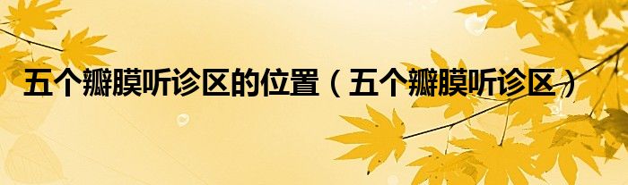 五個(gè)瓣膜聽(tīng)診區(qū)的位置（五個(gè)瓣膜聽(tīng)診區(qū)）